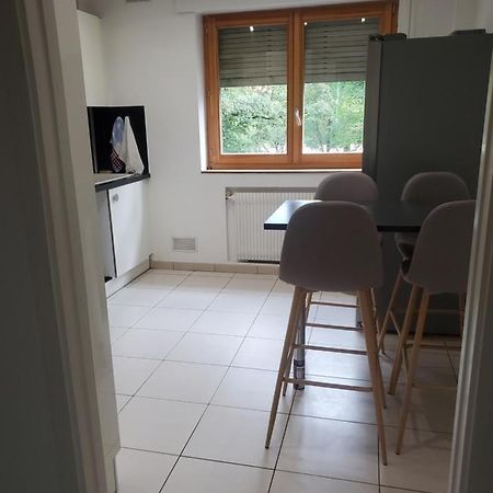 Appartement Meuble Aux Portes De Geneve 안마스 외부 사진