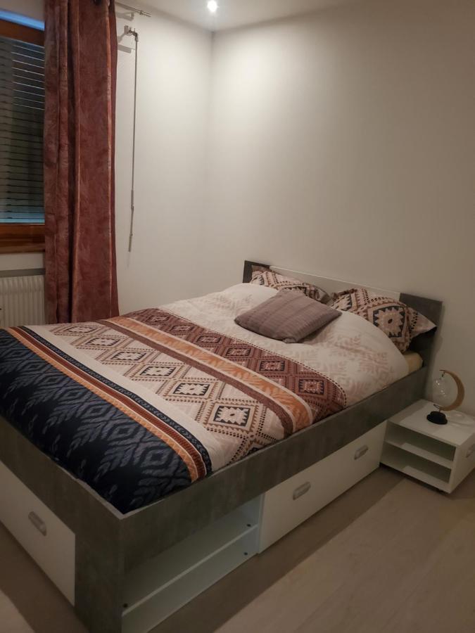 Appartement Meuble Aux Portes De Geneve 안마스 외부 사진